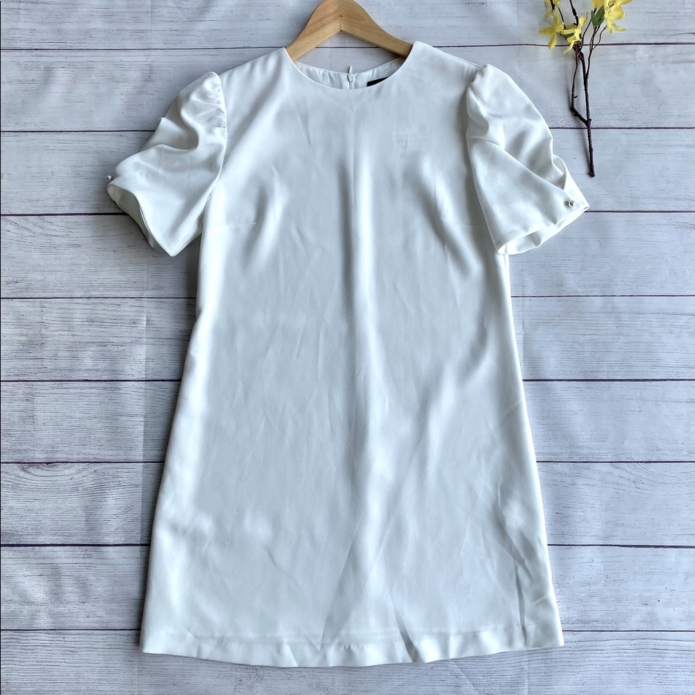 ZARA Pearl Sleeve Dress